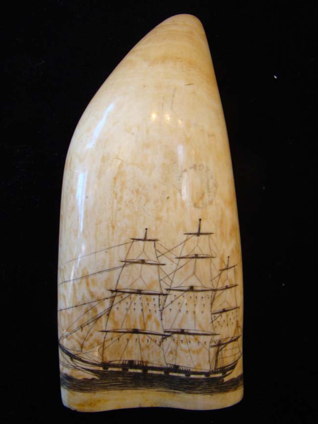 A fantastic large 19th century scrimshaw whale's tooth circa 1840
